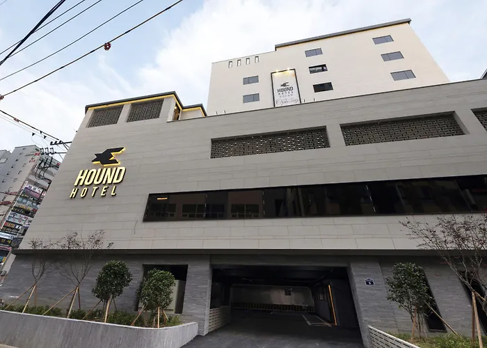 Hound Yeonsan Busan